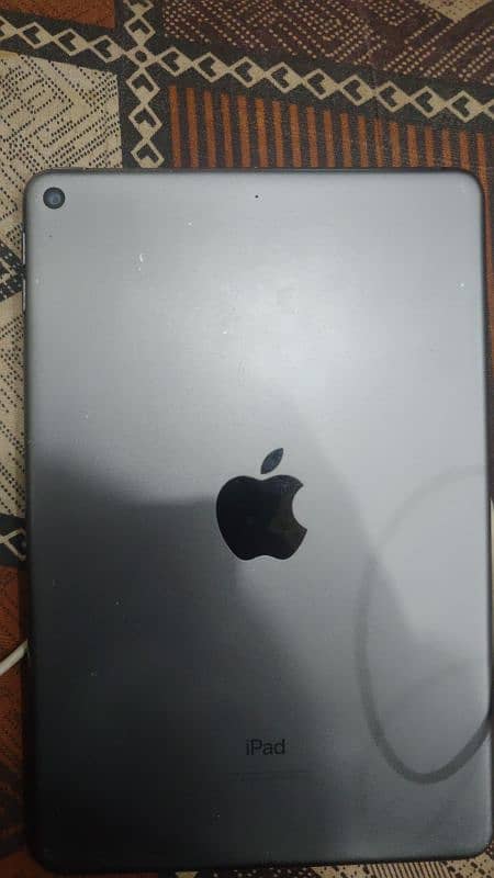 ipad mini 5 0