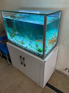 Fish Equarium For sale