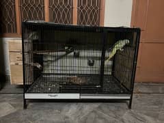 bird Cage big size