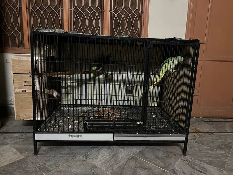 bird Cage big size 0