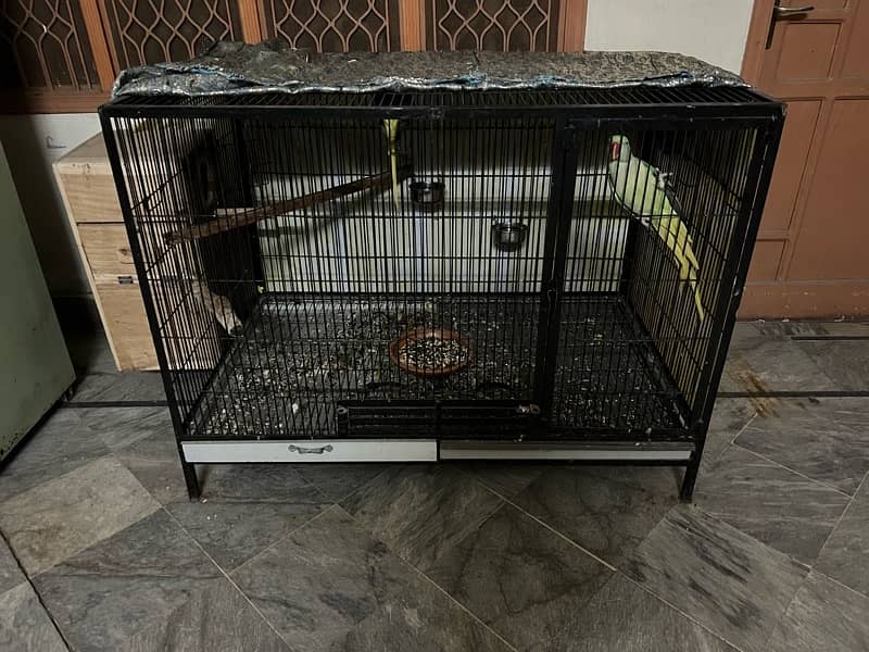 bird Cage big size 1