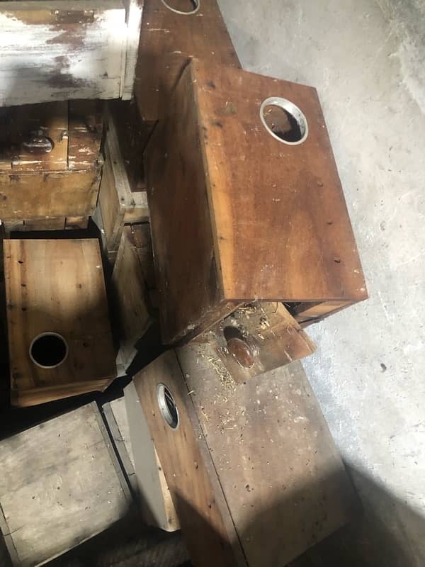 love bird box for sale 1