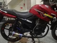 Yamaha