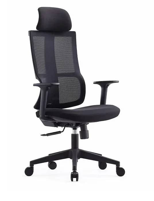 Manager Chair l Ergonomic Chair l Back Supprt Chair -Backcare025 0