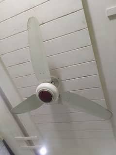 5 Ceiling fan Royal Copper for sale