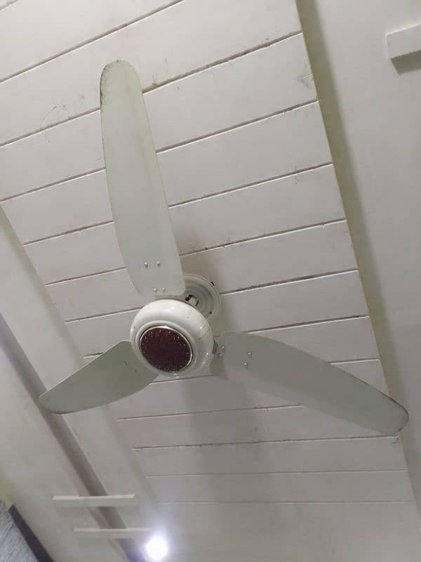 5 Ceiling fan Royal Copper for sale 0