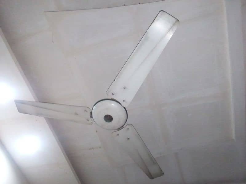 5 Ceiling fan Royal Copper for sale 1