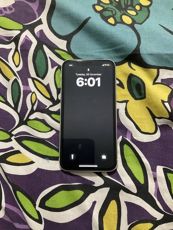 iPhone 11 pta approved 1