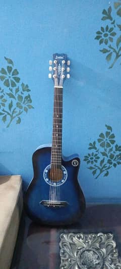 Beginners Guitar