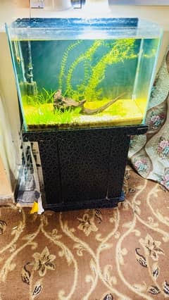 2 feet Aquarium for sale