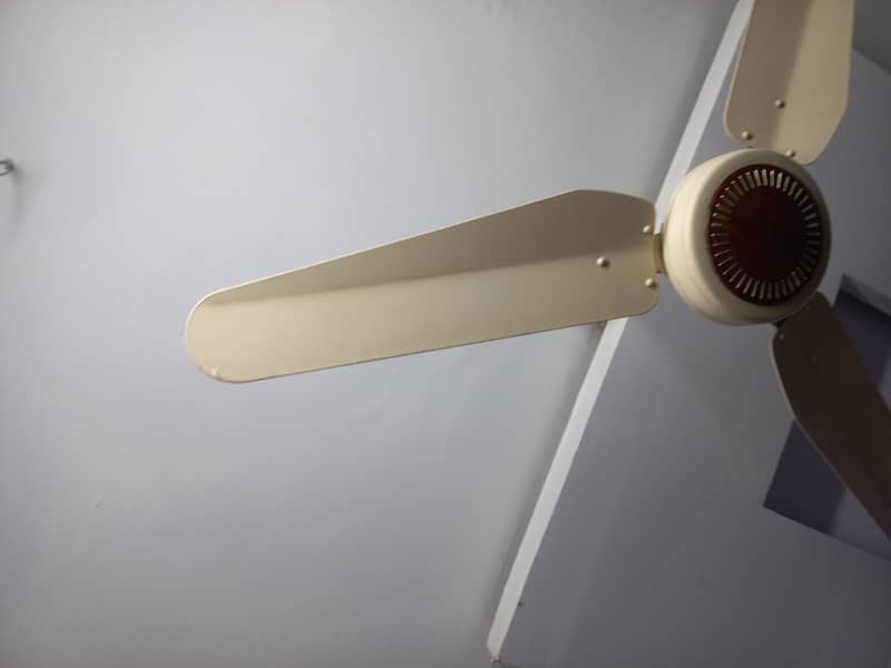 ceilings fans new condition me hai 2