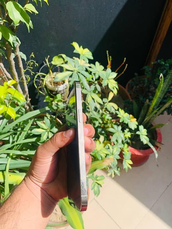 Iphone 12 pro max 256 Pta Approved 3