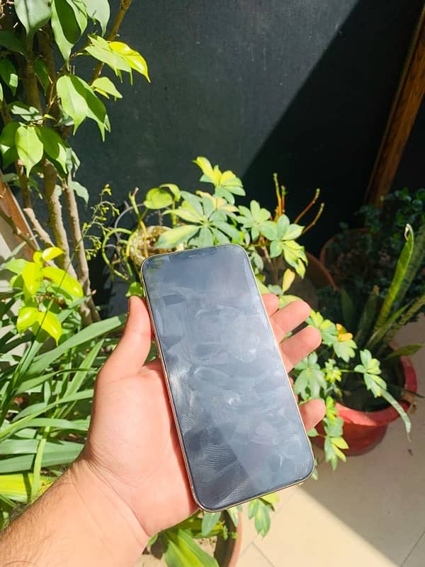 Iphone 12 pro max 256 Pta Approved 5