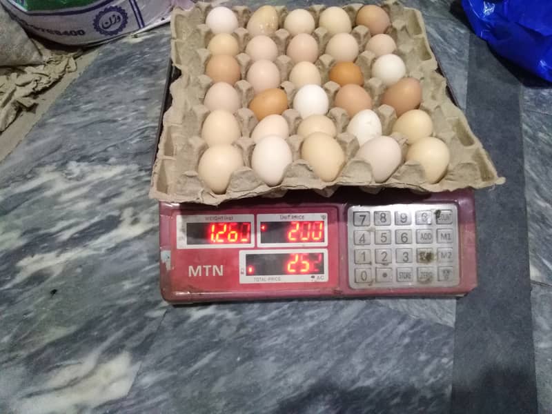 Golden misri egg available for selling 0