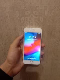 iPhone 6 ha