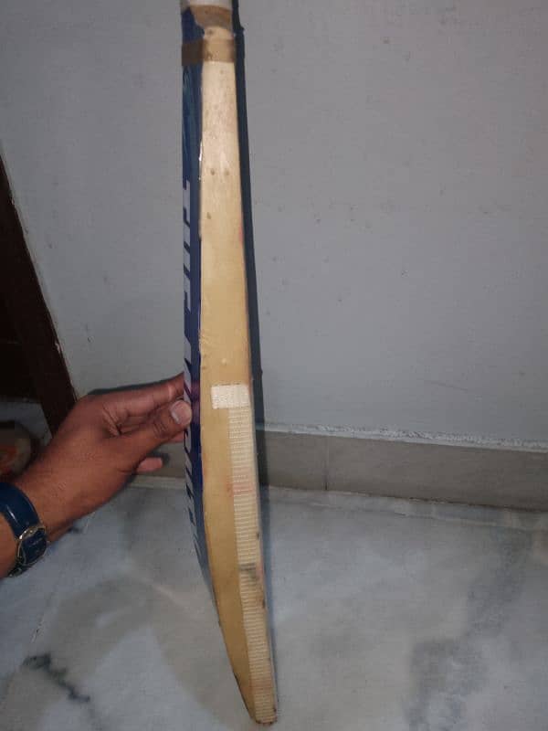 English willow hard ball bat 6