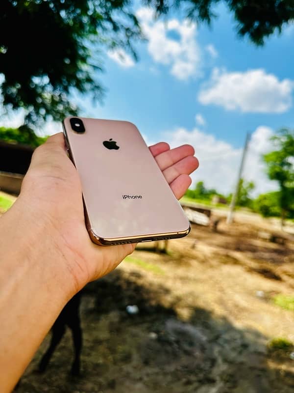 IPhone XS 256Gb Non Pta Full Kancha Set 10/10 Urgent Sale 0