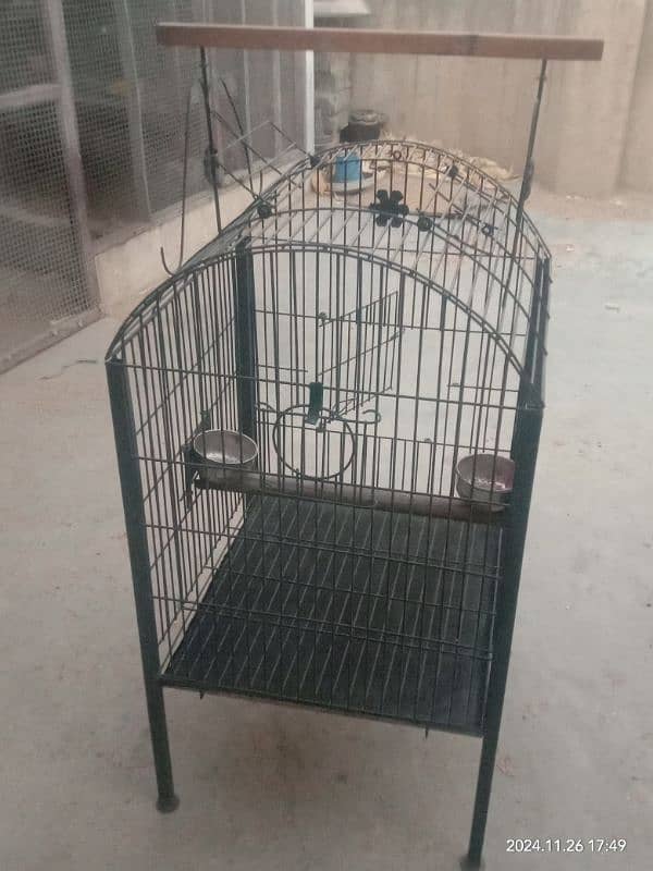 Grey parrot Pahari Raw cage , ring neck cage 1