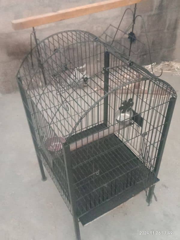 Grey parrot Pahari Raw cage , ring neck cage 2