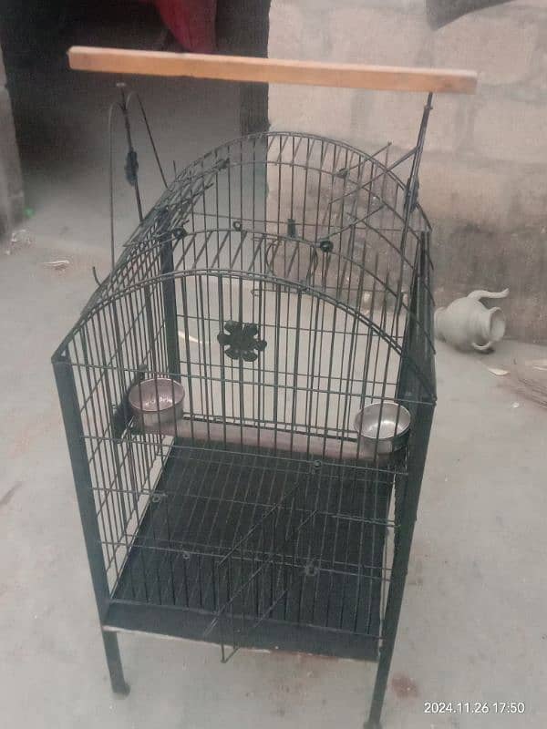 Grey parrot Pahari Raw cage , ring neck cage 3