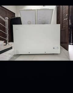 Haier Double Door  Deep freezer