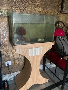 Fish Aquarium 2ft size