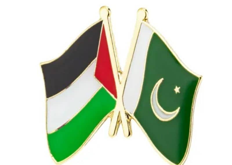 Pakistan Flags coat pins 7