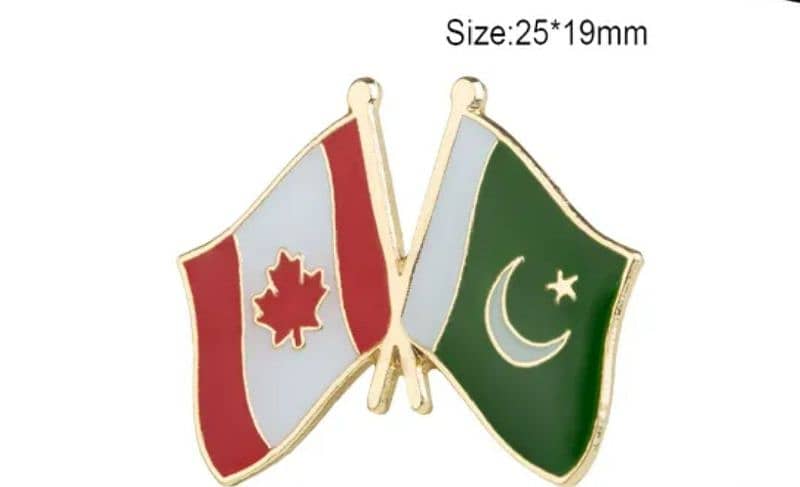 Pakistan Flags coat pins 9