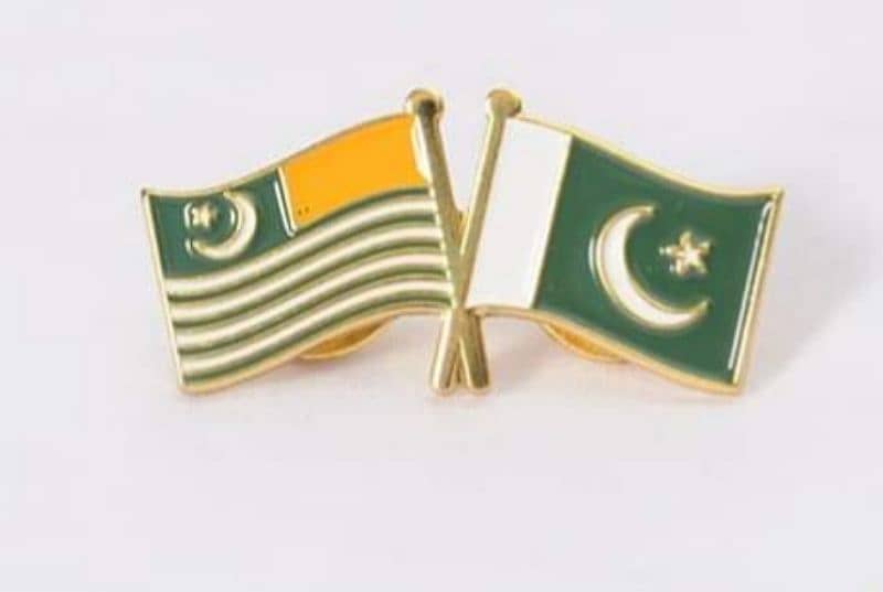 Pakistan Flags coat pins 10