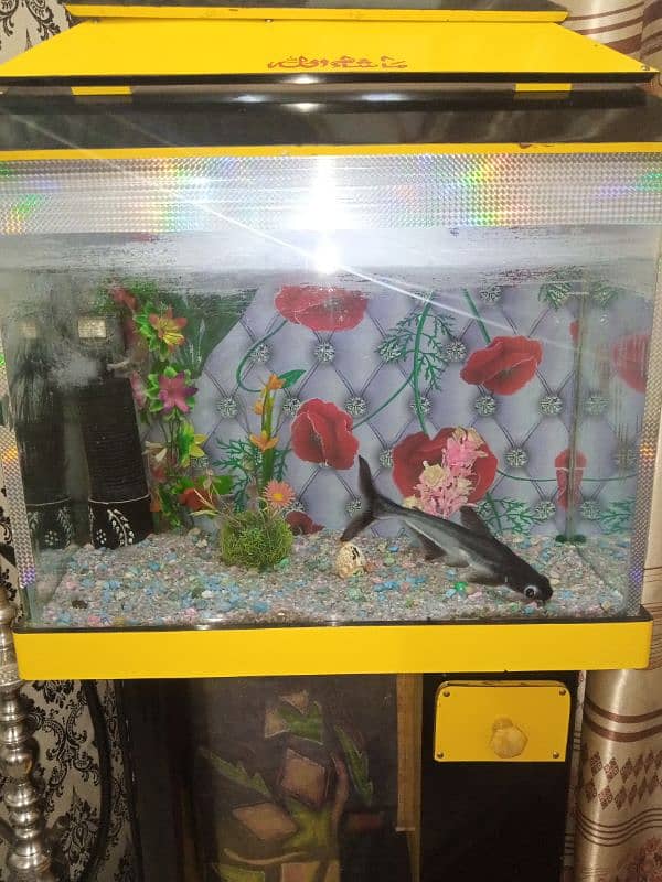 fish aquarium for sale 1