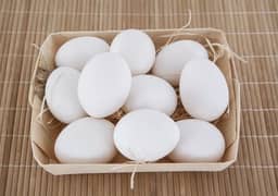 03120822958 Fancy Breadr K Fresh & Fartail Eggs Avail