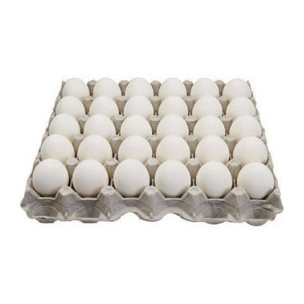 03120822958 Fancy Breadr K Fresh & Fartail Eggs Avail 1