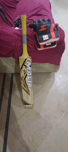 cricket bat and gloves in good price