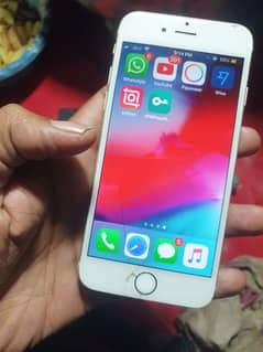 iphone 6 pta 16 gb