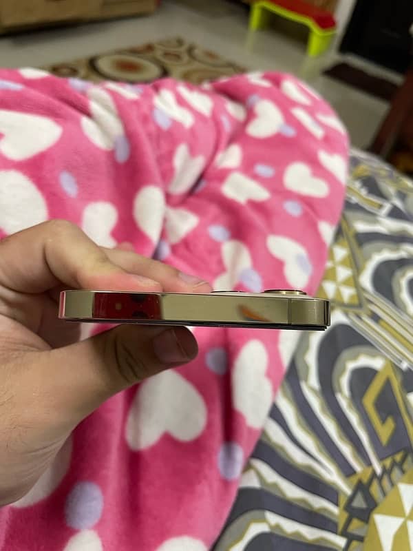 Iphone 12 Pro Max 256 GB Factory unlock 1