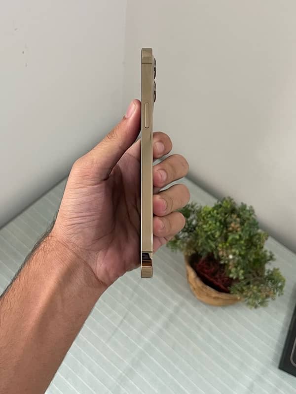 iphone 12 pro max 256gb PTA 6