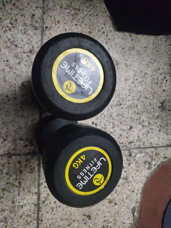 pair of two dumbbells 4kg with handgripper 1