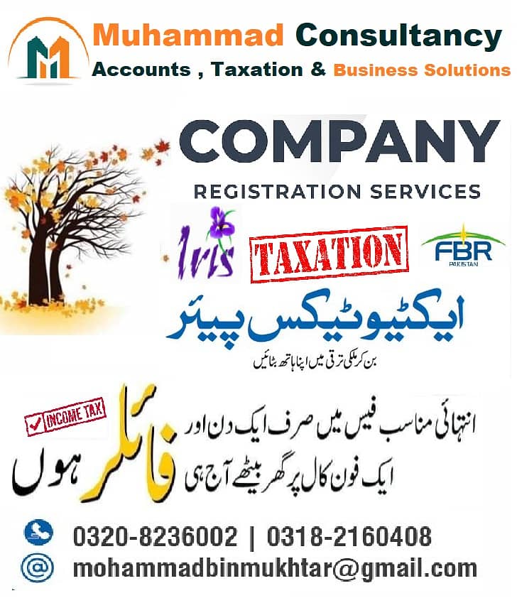 Income Tax , Sales Tax  & Accounts Consultancy 1