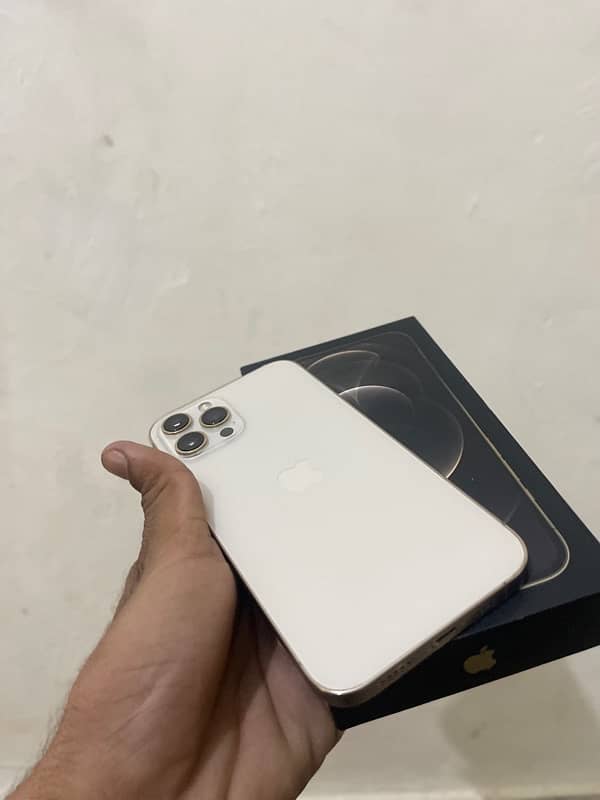 Iphone 12 Pro Max Gold 256 GB Dual Sim PTA 2