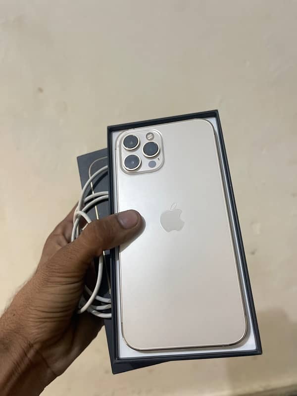 Iphone 12 Pro Max Gold 256 GB Dual Sim PTA 8