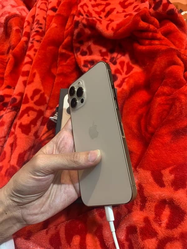 iPhone 12pro max 512gb dual pta golden colour 0