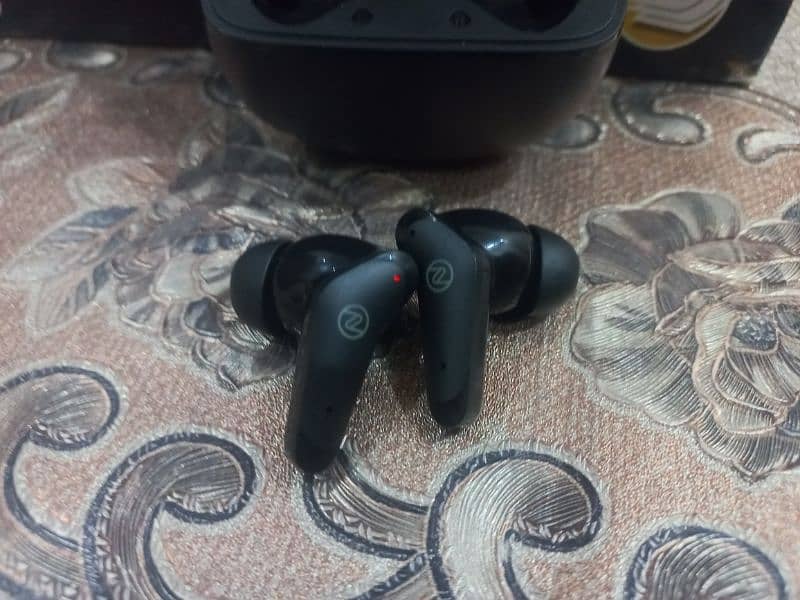 Rover Pro Earbuds 4