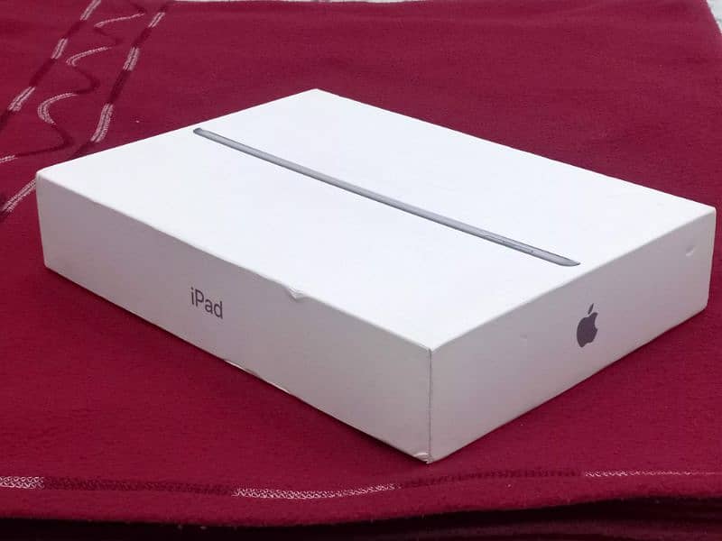 Apple iPad 6th Generation _ 128 GB 2