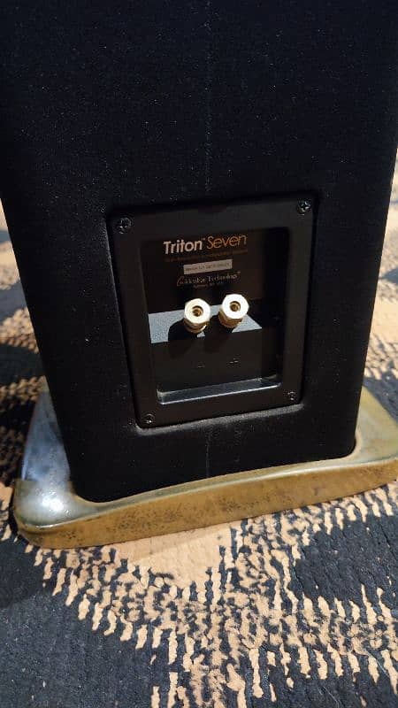 Goldenear Triton Seven 7 hifi Audiophile Floor standing Speakers 4