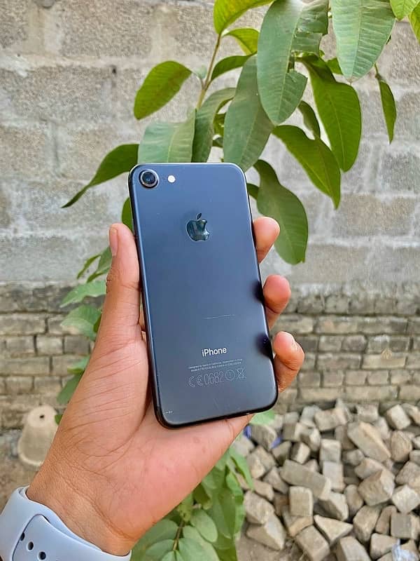 iPhone 7 Non Pta 1