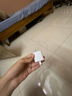 100 percent original apple charger