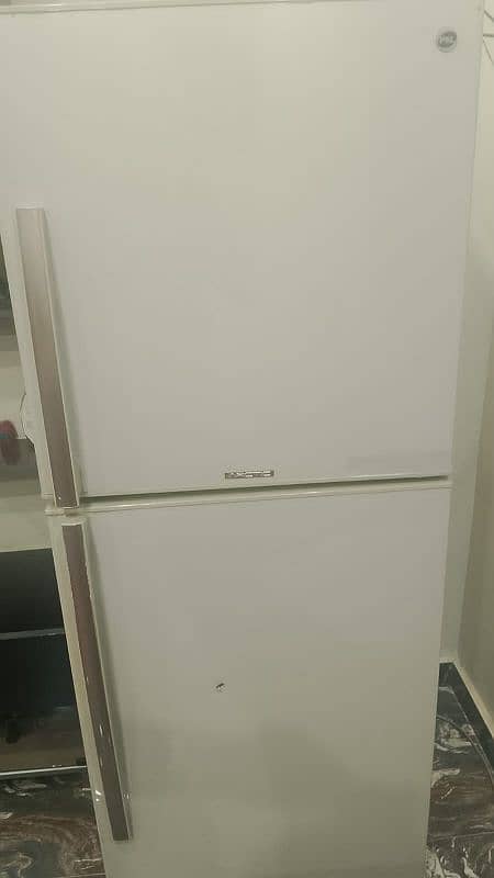 pel company refrigerator 2