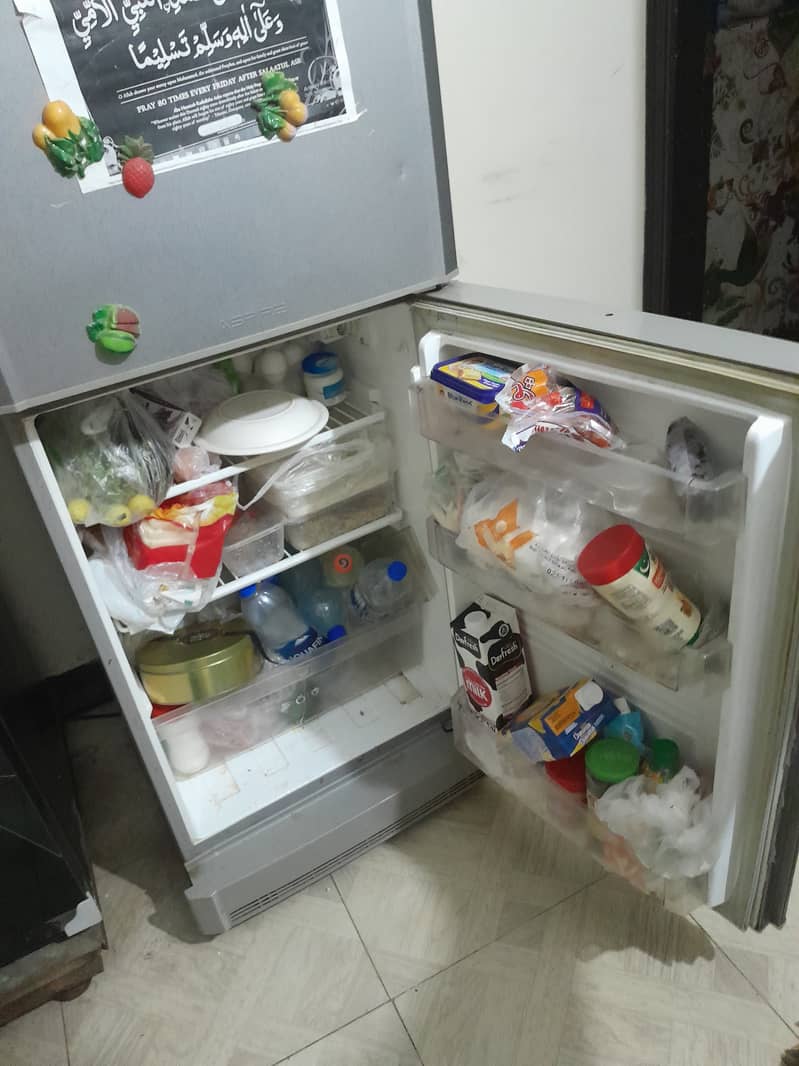 PEL Fridge 1