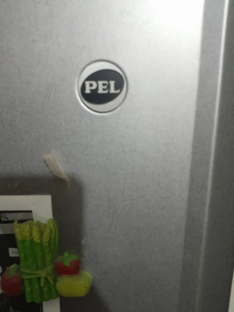 PEL Fridge 2