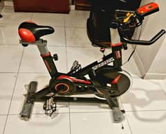 Exercise bike for Sale DDS 9301